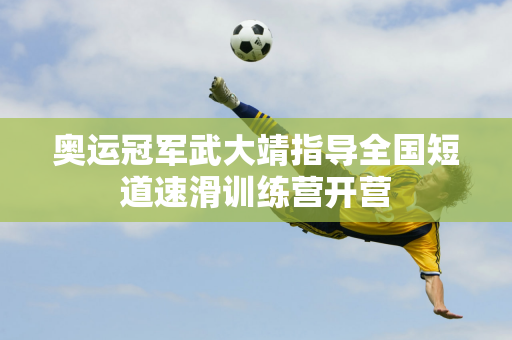 它意味着球
